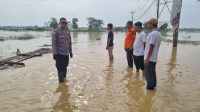 Usai Diguyur Hujan, Bhabinkamtibmas Cek Lokasi Banjir di Dusun Tegal Luhur
