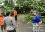 Sinergi Polisi, BPBD, PLN dan Masyarakat Berhasil Amankan Jalan Raya Cinangka dari Dampak Pohon Tumbang