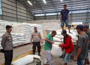 Polsek Mauk Antar 2 Ton Jagung Hibrida Panen Desa Margamulya ke Bulog Cikande